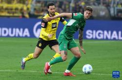 AYX SPORTS-德国杯赛程吃紧；门兴格拉德巴赫转会期官宣签约；质疑声仍在；球探报告显示潜力的简单介绍-AYX SPORTS